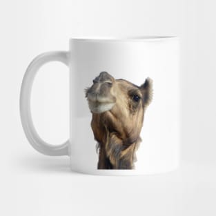 Moroccan dromedary camel Mug